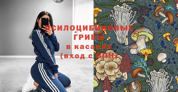 мяу мяу мука Медногорск