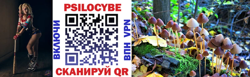 Псилоцибиновые грибы ЛСД  где продают   Старый Крым 